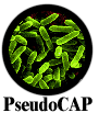 PseudoCAP